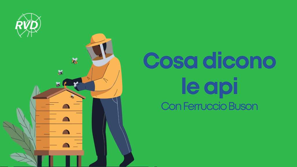 cosa-dicono-api-programma-rvd